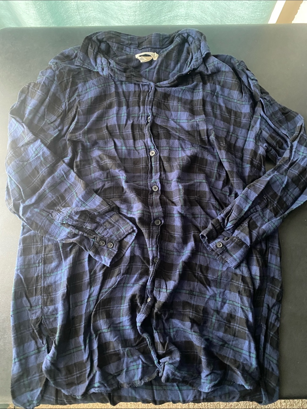 H&M Plaid Blue and Green Button Down